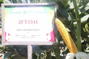 愿廣交天下好友 金豐源種業(yè)真誠待您前來