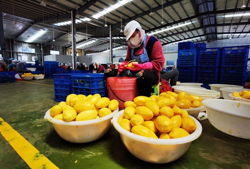 全球連線 碩果累累 中國(guó) 東盟合作有點(diǎn) 芒