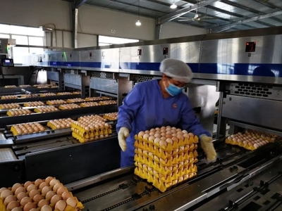 廣州入選國(guó)家級(jí)名單 種業(yè)發(fā)展獲國(guó)家認(rèn)可