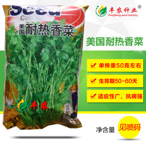 蔬菜香菜種子市場(chǎng)洞察 價(jià)格、供應(yīng)商與種植前景