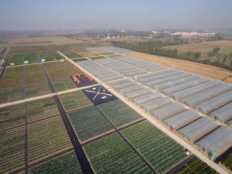 種業(yè)小鎮(zhèn)賦能農(nóng)業(yè)強(qiáng)'芯'，構(gòu)筑現(xiàn)代農(nóng)業(yè)新引擎