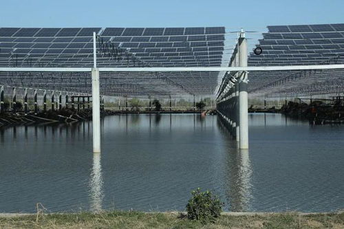 成功簽約建設贛榆特色現代化設施漁業低零碳園區，助力種業發展新篇章